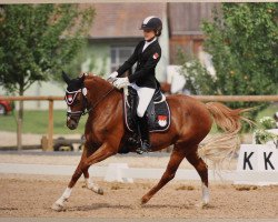 dressage horse Beverly MF (Deutsches Reitpony, 2003, from Bavarottie)