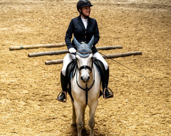 Springpferd Tullycommons Polly (Connemara-Pony, 2004, von Castleside Carrig)