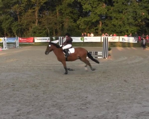 Springturnier Meinerzhagen 2014