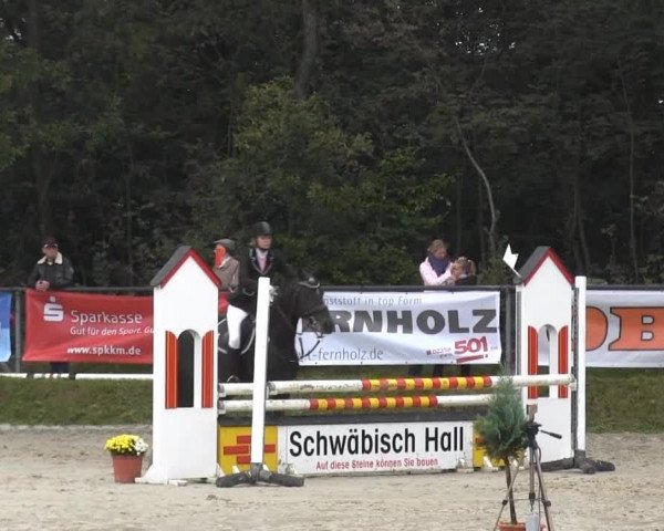 Springturnier Meinerzhagen 2014