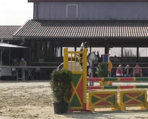 Appelhülsen 2014