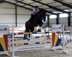 jumper Schwuppdiwupp Hv (Oldenburg show jumper, 2012, from Shouppydam des Horts)