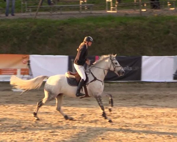 Witzheldener Reitertage 2014