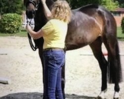 dressage horse Feodora (Hanoverian, 2016, from Finest)