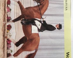 broodmare Wotaria (Hanoverian, 1996, from Weltmeyer)