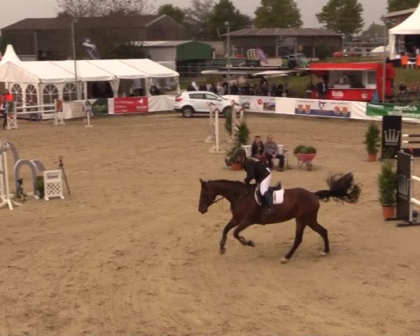 Witzheldener Reitertage 2014