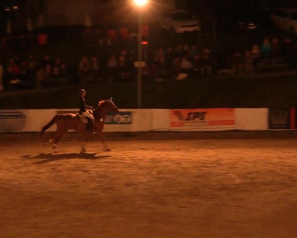 Witzheldener Reitertage 2014