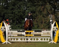 jumper Lion Heart SK (Hanoverian, 2005, from Litas-Star)