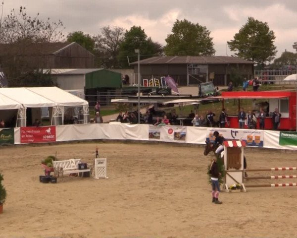 Witzheldener Reitertage 2014