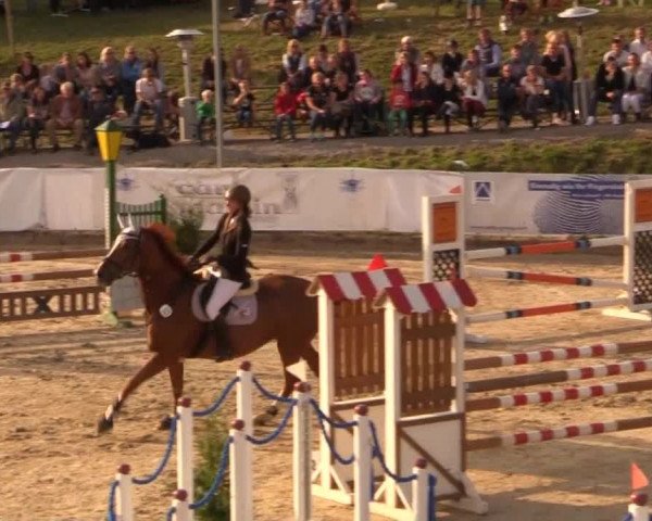 Witzheldener Reitertage 2014