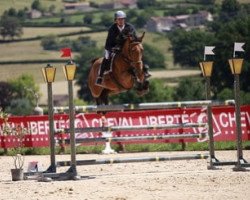 jumper Charade Hoy (Selle Français, 2012, from Vito M)