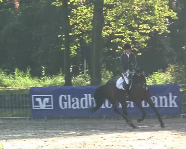 Wickrather Reitertage 2014