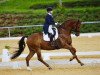 dressage horse Josef R (Austrian Warmblood, 2011, from Jazz)