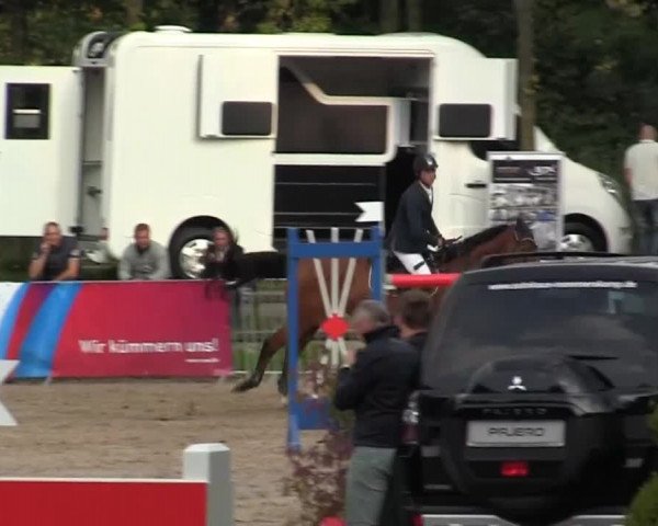 Wickrather Reitertage 2014