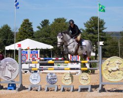 jumper Chigi Dn Z (Zangersheide riding horse, 2009, from Chippendale Z)