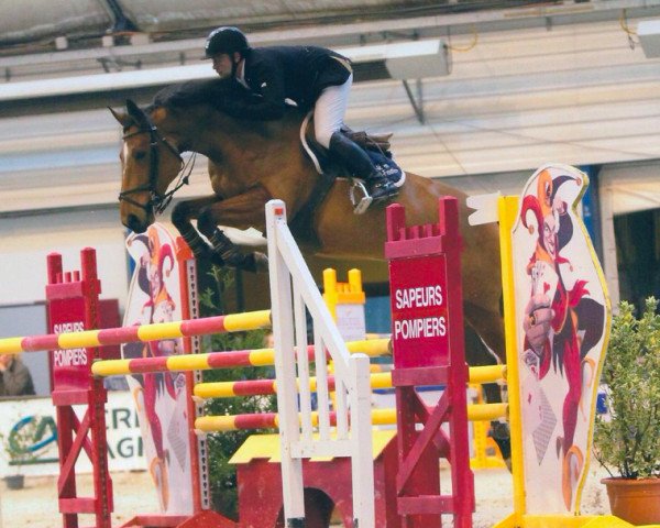 broodmare Ryad d'Amaury (Selle Français, 2005, from Quidam de Revel)