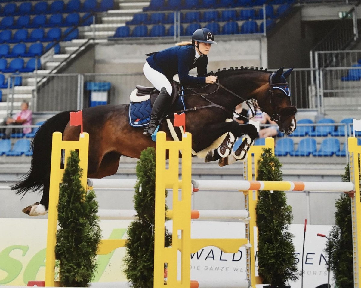 broodmare Cara Lou 3 (Holsteiner, 2011, from Classe VDL)