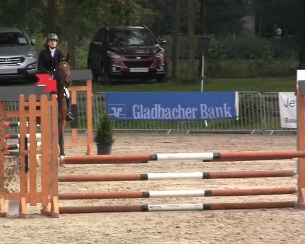 Wickrather Reitertage 2014