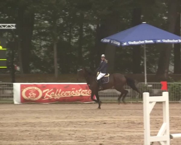 Wickrather Reitertage 2014