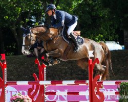 Springpferd Celeste de Mars (Selle Français, 2012, von Jarnac)