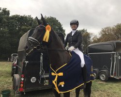 dressage horse Rosalynn Bee (Rhinelander, 2015, from Royal Highness)