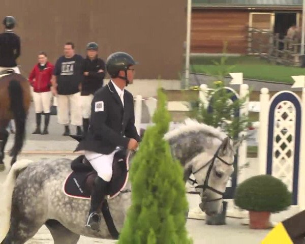 Springturnier Hubertushof RSG Linkenheim-Hochstetten 2014