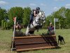 jumper Snow Flake AT (Holsteiner, 2012, from Clearway)