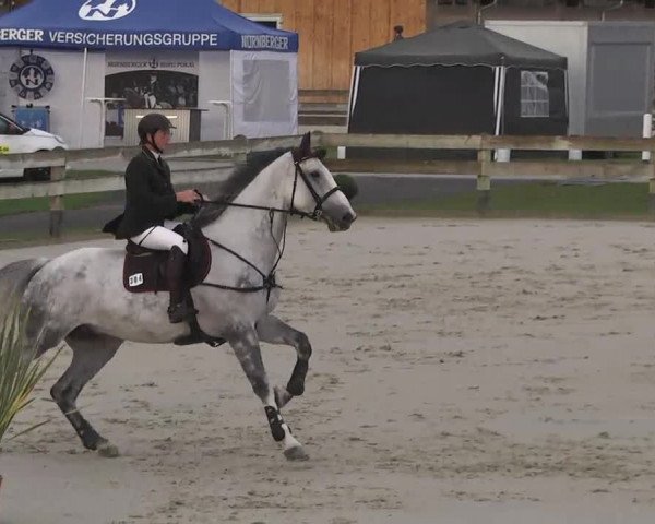Springturnier Hubertushof RSG Linkenheim-Hochstetten 2014