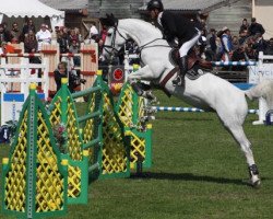 broodmare Quinette du Quesnoy (Selle Français, 2004, from Helios de la Cour II)