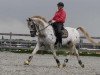 Deckhengst Isala's Orient (Nederlands Appaloosa Pony, 2000, von Krimh ox)