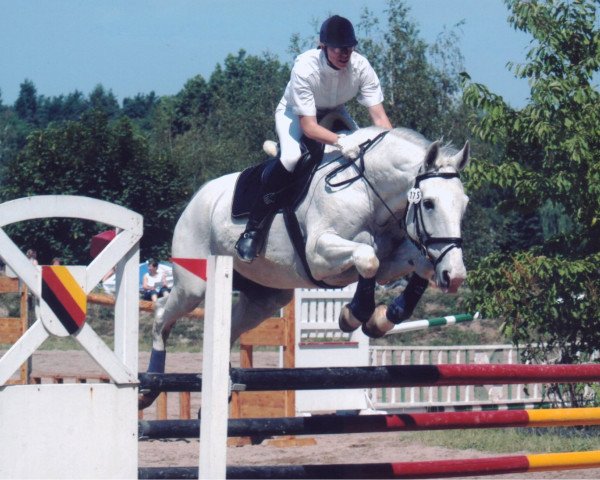 horse Wümme Star (Hanoverian, 1990, from Wiener Skat)