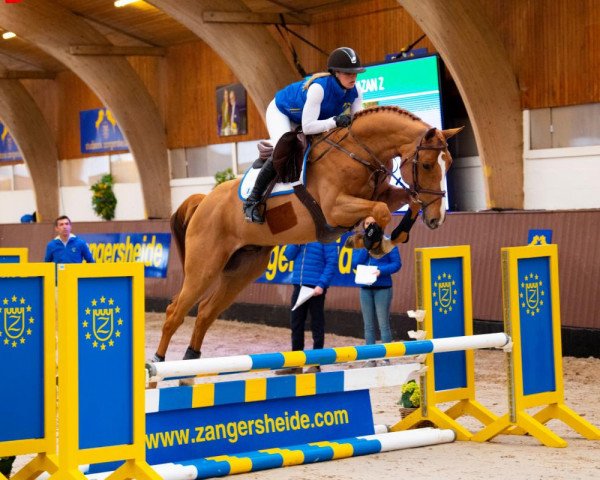 stallion Kazan Z (KWPN (Royal Dutch Sporthorse), 2015, from Baloubet du Rouet)