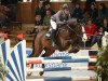 jumper Eaton (Swedish Warmblood, 2009, from Ustinov)