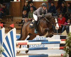 jumper Eaton (Swedish Warmblood, 2009, from Ustinov)