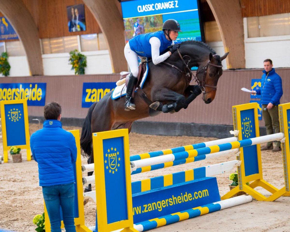 Deckhengst Classic Orange Z (Zangersheide Reitpferd, 2015, von Cornet Obolensky)