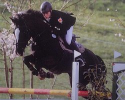 jumper French Girl 2 (Hanoverian, 2004, from Frenchman I)