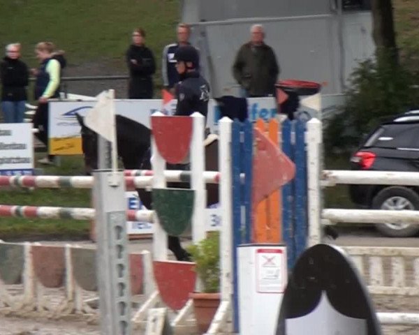 Großes Springturnier Siegen 2014