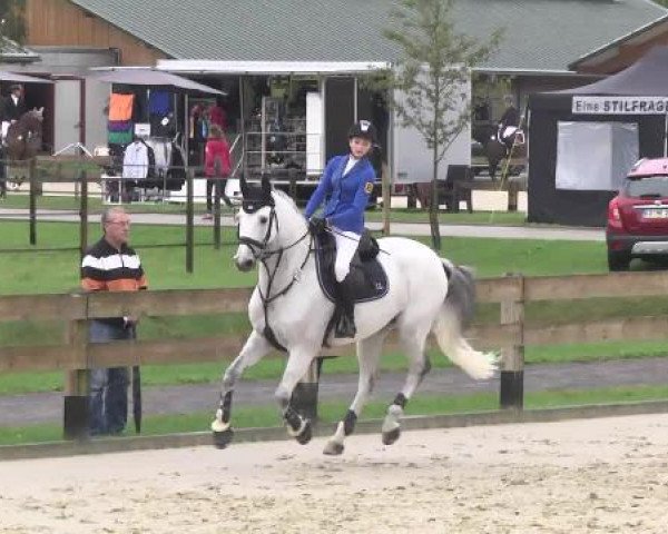 Springturnier Hubertushof RSG Linkenheim-Hochstetten 2014