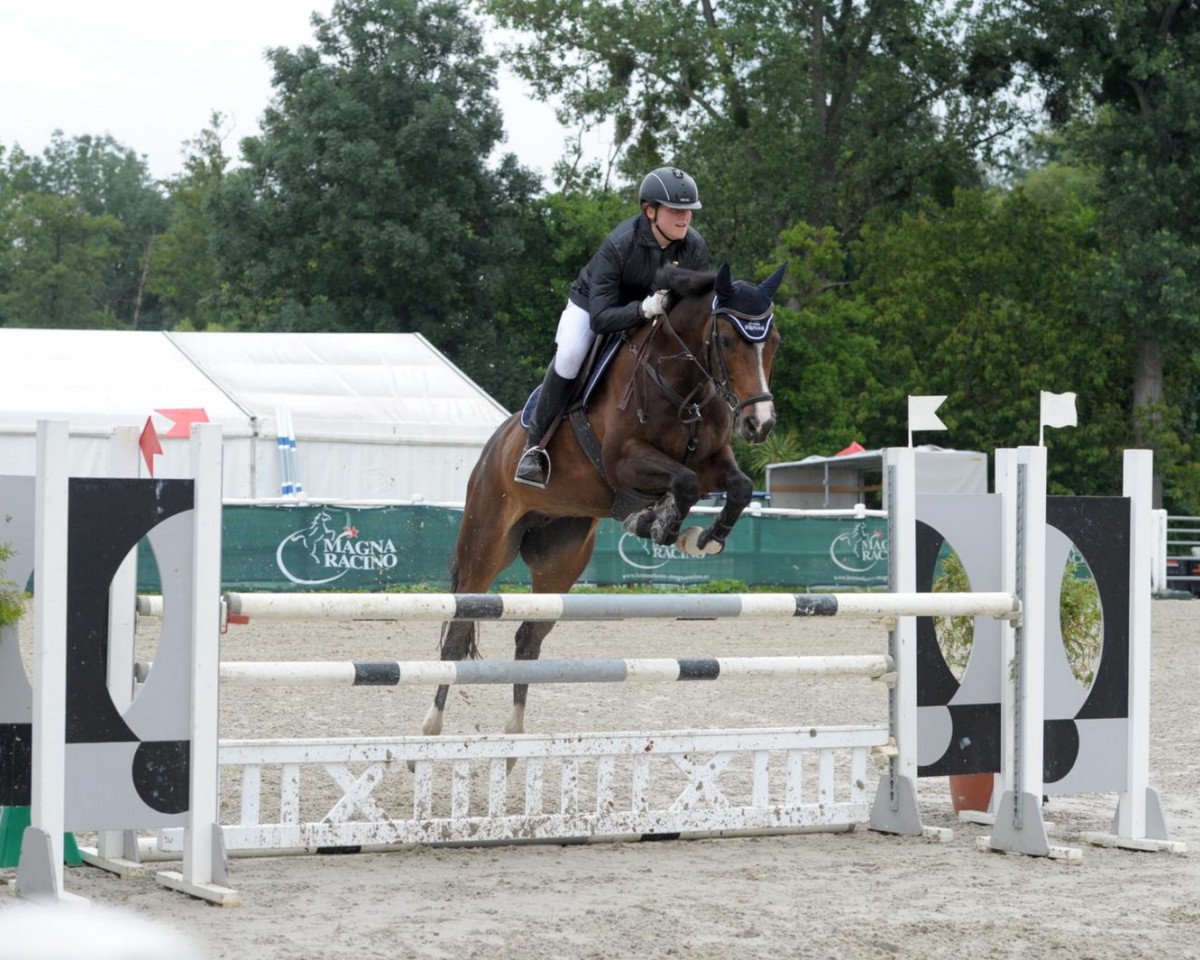 jumper Lalique Croft (Czech Warmblood, 2011, from Beethoven 2)