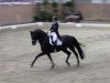 dressage horse Rocky's Sunshine (Westphalian, 2007, from Rock Forever NRW)