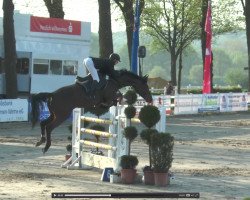 broodmare Janis Joplin de Cologne (Oldenburg show jumper, 2011, from Comme il Faut)