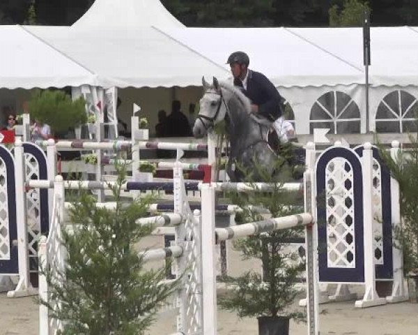 Springturnier Hubertushof RSG Linkenheim-Hochstetten 2014