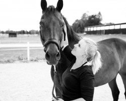 dressage horse Greens' Caballero G (unknown, 2003, from Concetto I)