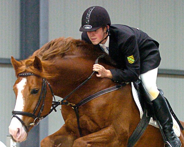 jumper Lord Lindenau (German Sport Horse, 2003, from Levisto Z)