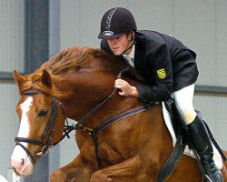 Deckhengst Lord Lindenau (Deutsches Sportpferd, 2003, von Levisto Z)