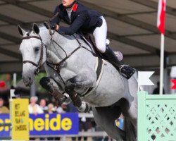 jumper Hazelhorst I (KWPN (Royal Dutch Sporthorse), 2012, from VDL Cardento 933)