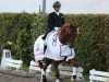 dressage horse Fabergee D (Hanoverian, 2011, from Fürst Nymphenburg)