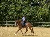 dressage horse Dancingqueen Rw (German Riding Pony, 2017, from Dating AT NRW)