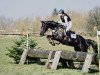 dressage horse Krönungsstern Aventurin (Oldenburg, 2011, from Stoiber SN)