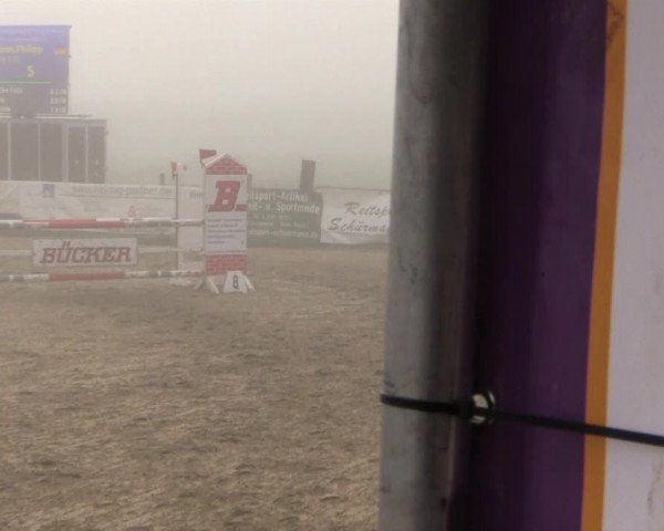 Reitstall Brinkmann 2014